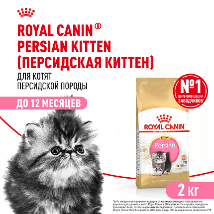 Royal Canin Persian Kitten Корм сухой сбалансированный для персидских котят (до 12 месяцев), 2 кг